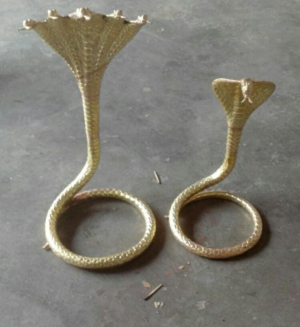 Snake Nag
